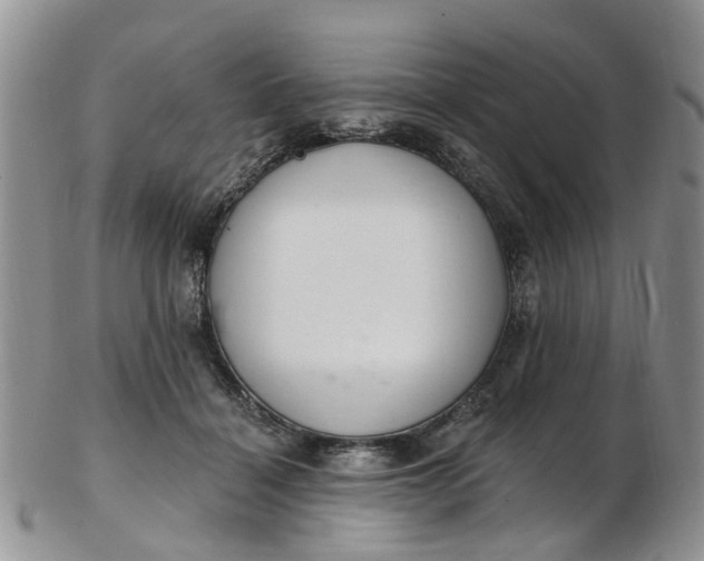 X0000103170460200809051725