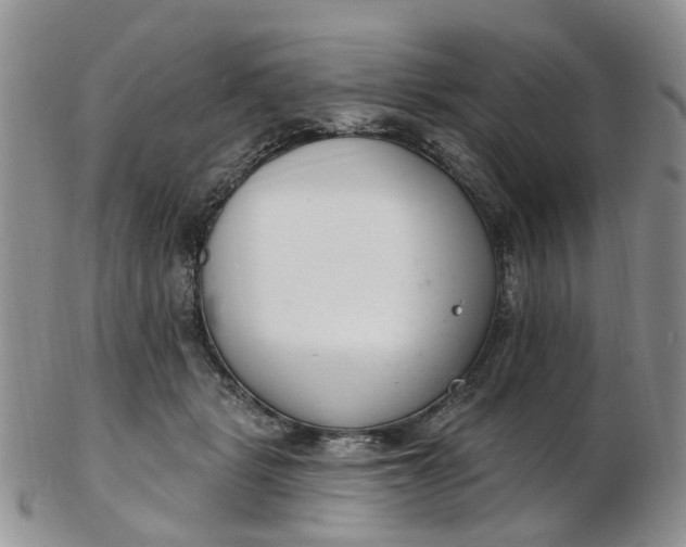 X0000103170461200809051725