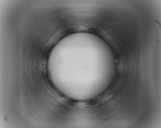 X0000103170462200809051725