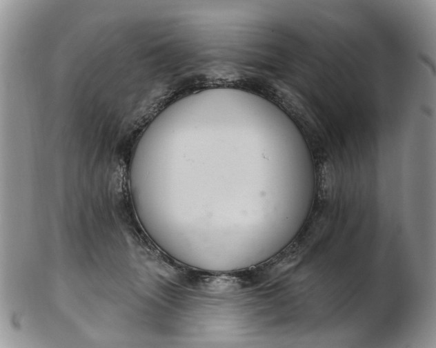 X0000103170463200809051725