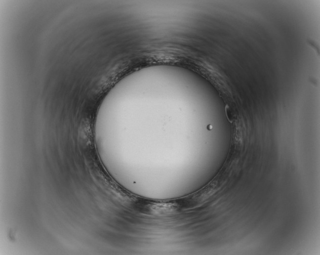 X0000103170465200809051725