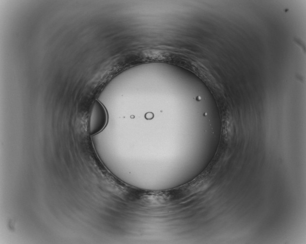 X0000103170466200809051725