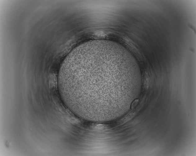 X0000103170467200809051725