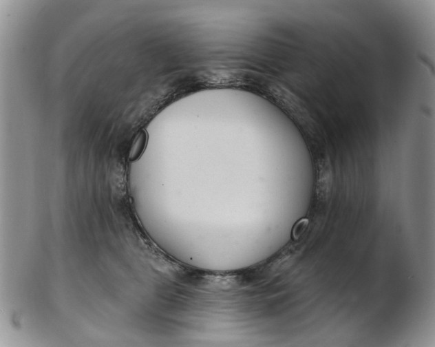 X0000103170469200809051725