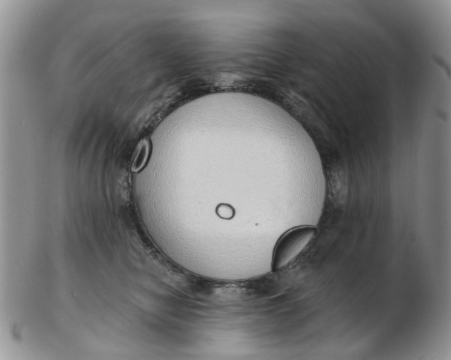 X0000103170470200809051725