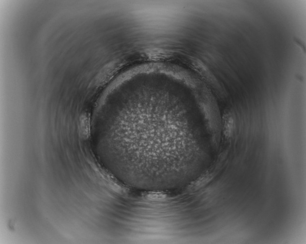 X0000103170471200809051726