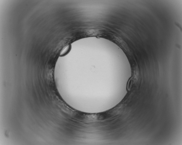 X0000103170473200809051726