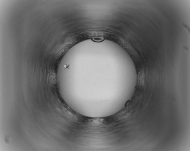 X0000103170474200809051726