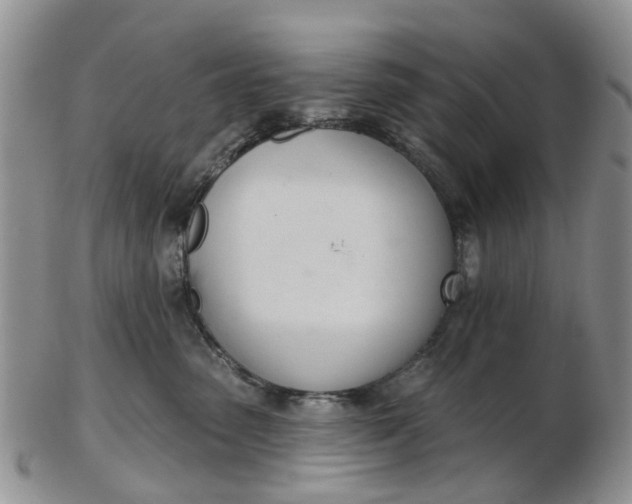 X0000103170475200809051726