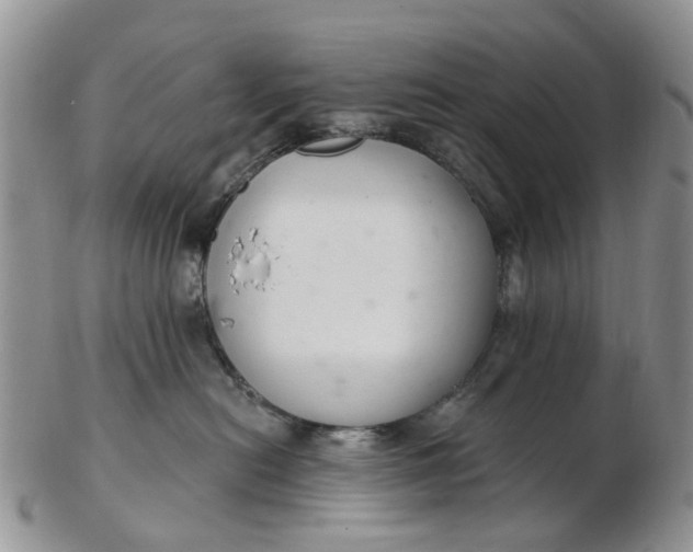 X0000103170478200809051726