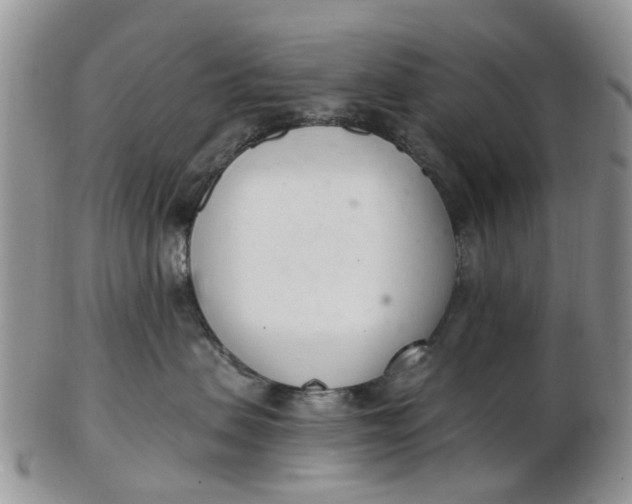 X0000103170479200809051726