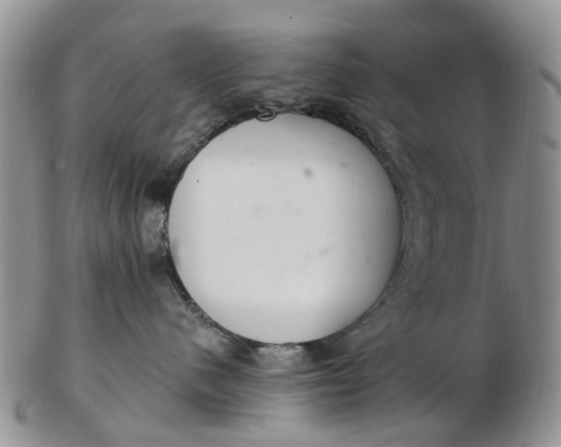 X0000103170480200809051726