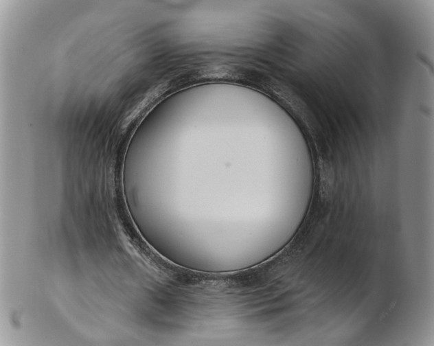 X0000103170482200809051725