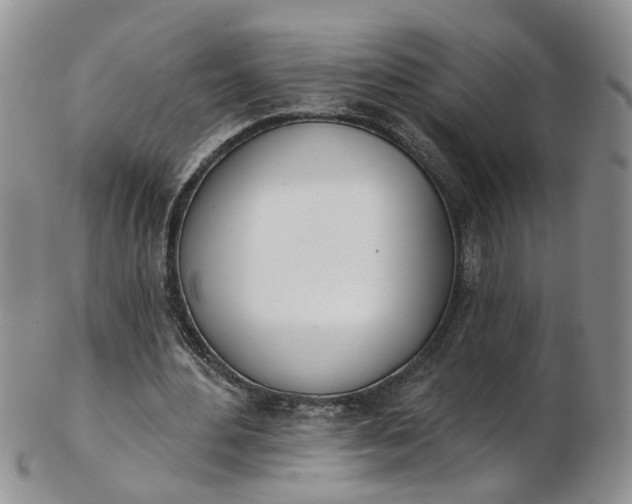 X0000103170484200809051725