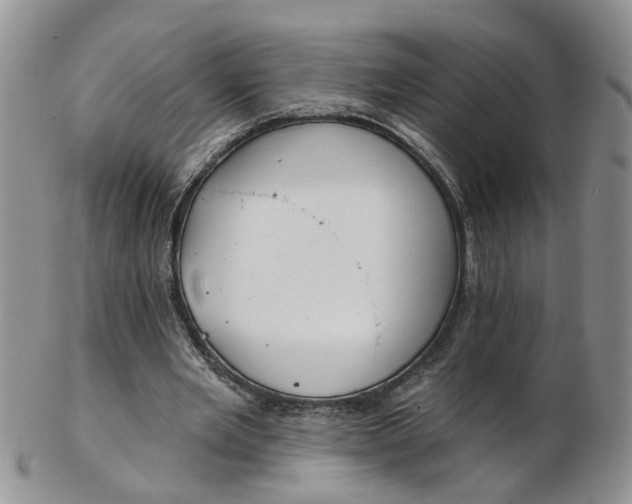 X0000103170485200809051725