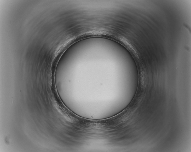 X0000103170486200809051725