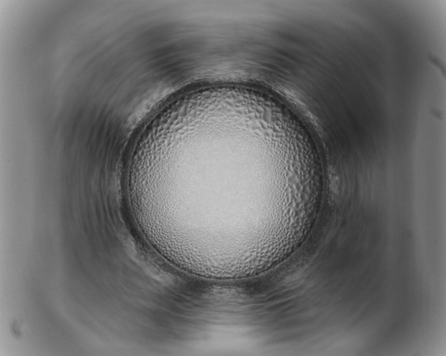 X0000103170487200809051725