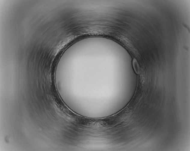 X0000103170488200809051725