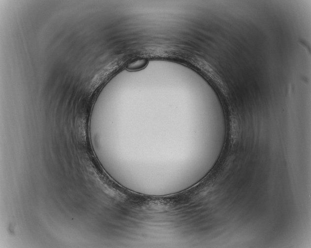 X0000103170489200809051725