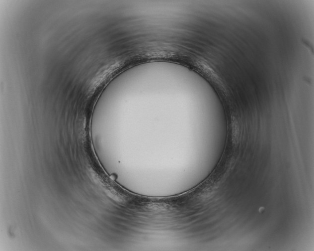 X0000103170490200809051725