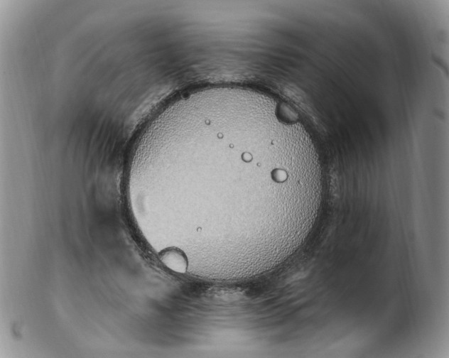 X0000103170491200809051725