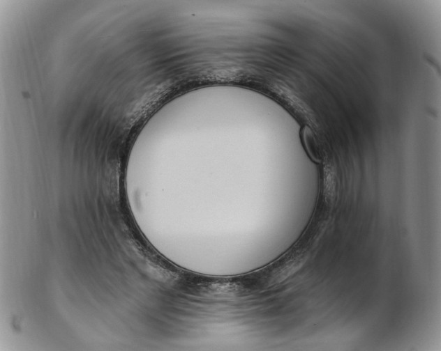 X0000103170493200809051725