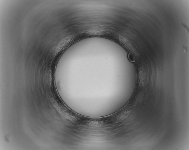 X0000103170494200809051725