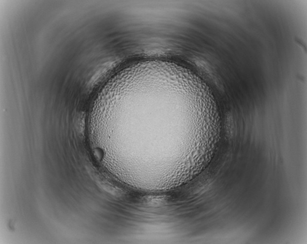 X0000103170495200809051725