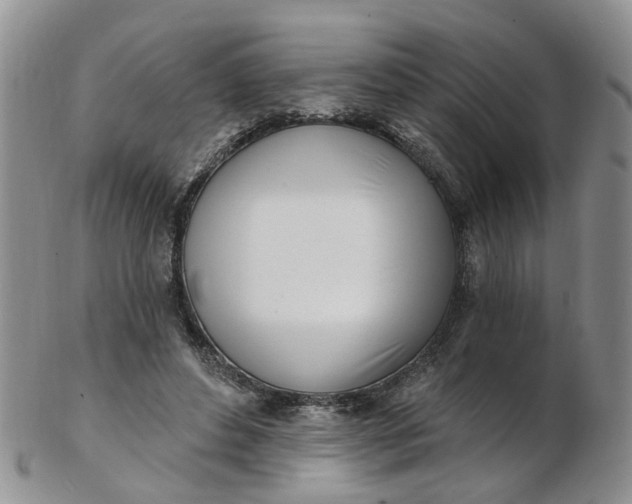 X0000103170496200809051725