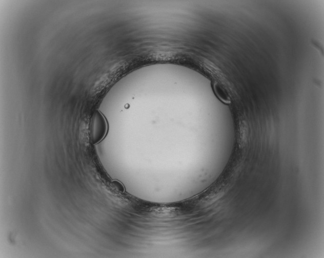 X0000103170497200809051725