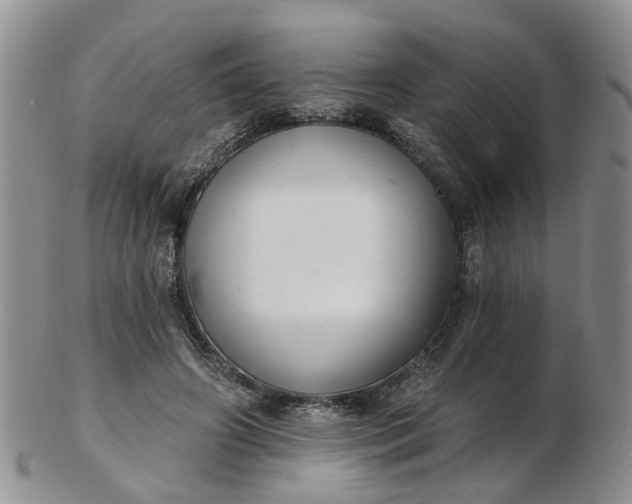 X0000103170498200809051725