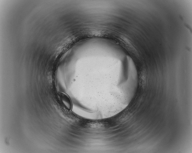 X0000103170500200809051725