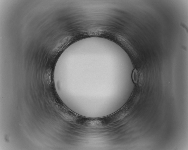 X0000103170501200809051725