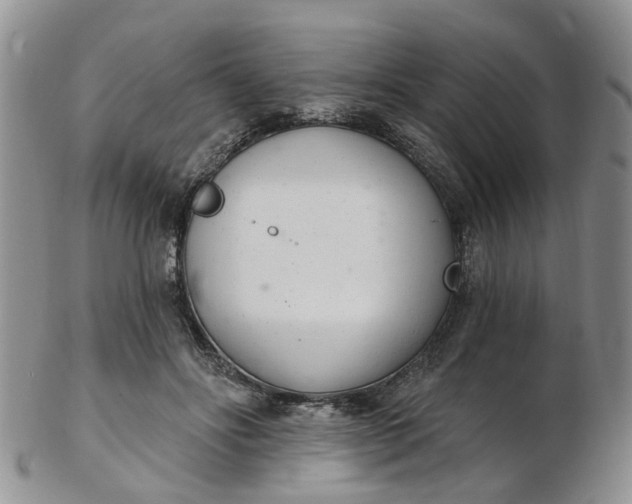 X0000103170502200809051725