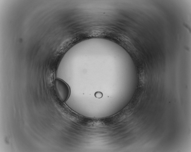 X0000103170503200809051725