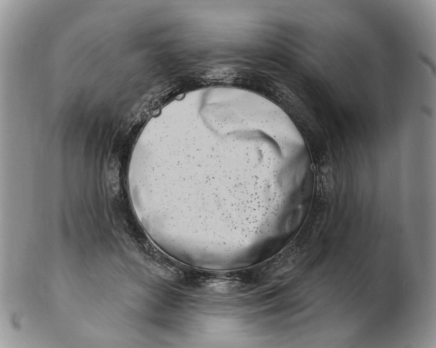 X0000103170504200809051725