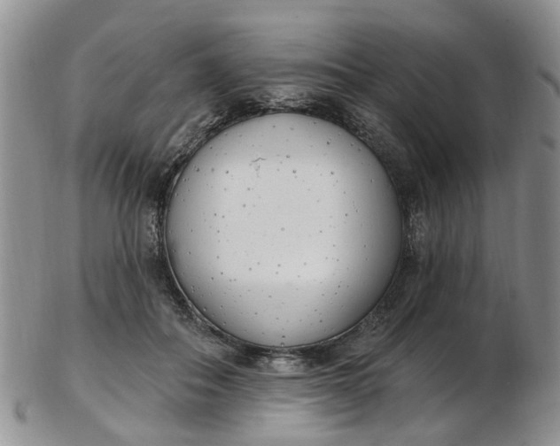 X0000103170506200809051725