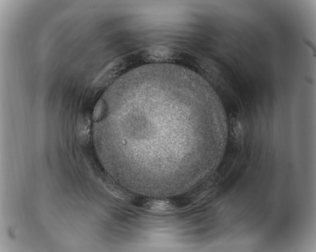 X0000103170507200809051725