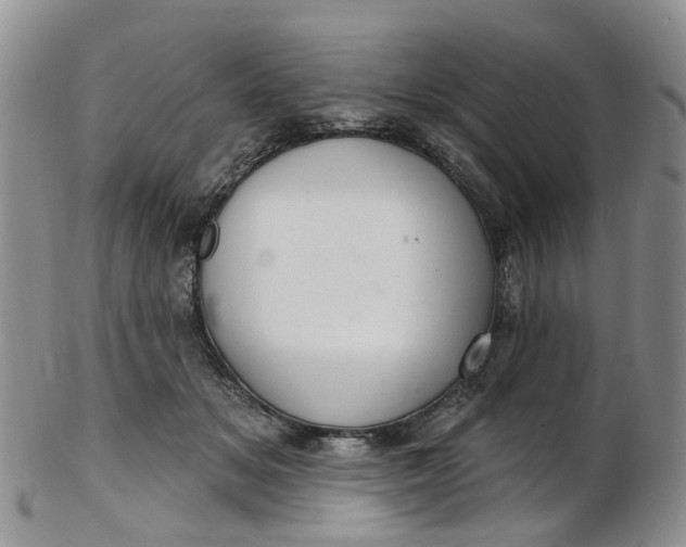 X0000103170509200809051725