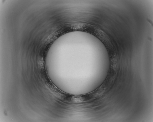 X0000103170510200809051725