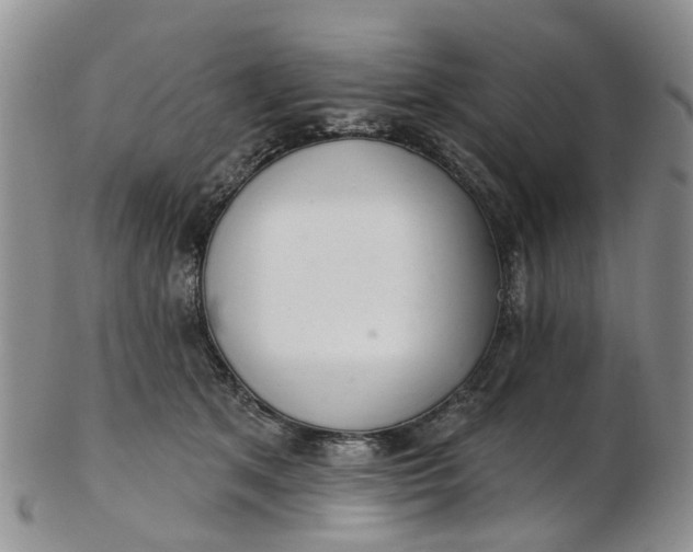 X0000103170513200809051725