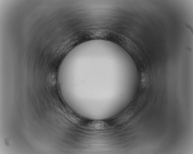 X0000103170514200809051725