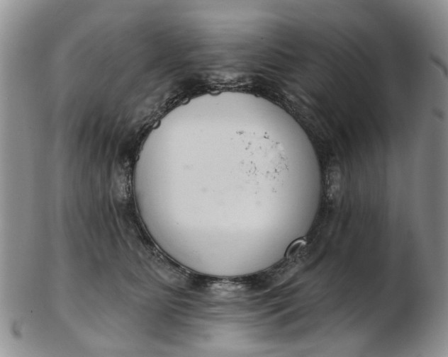 X0000103170515200809051725