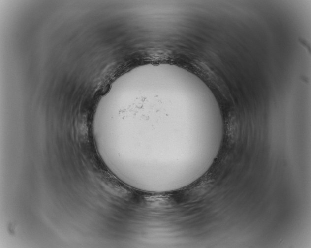 X0000103170516200809051724