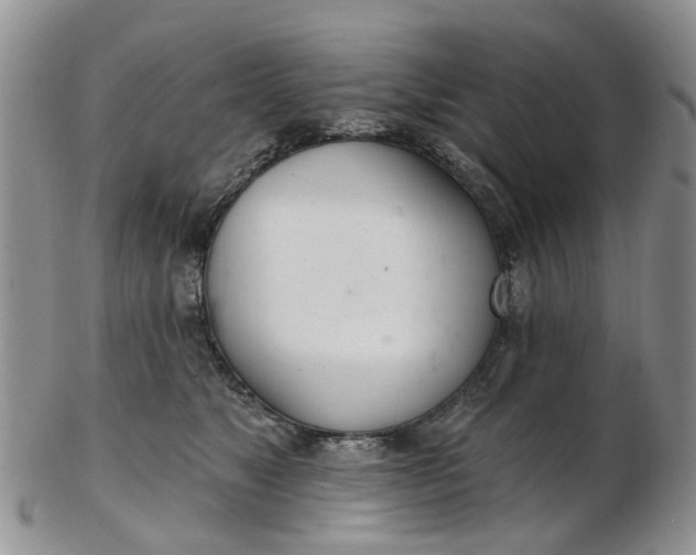 X0000103170517200809051724