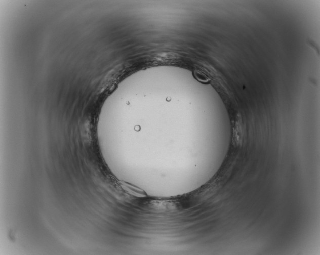 X0000103170520200809051724