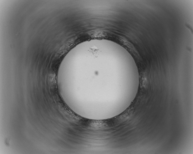 X0000103170521200809051724