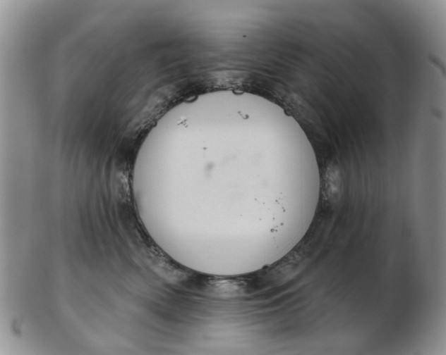 X0000103170522200809051724