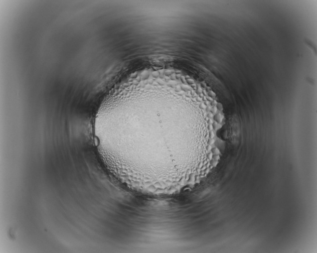 X0000103170523200809051724