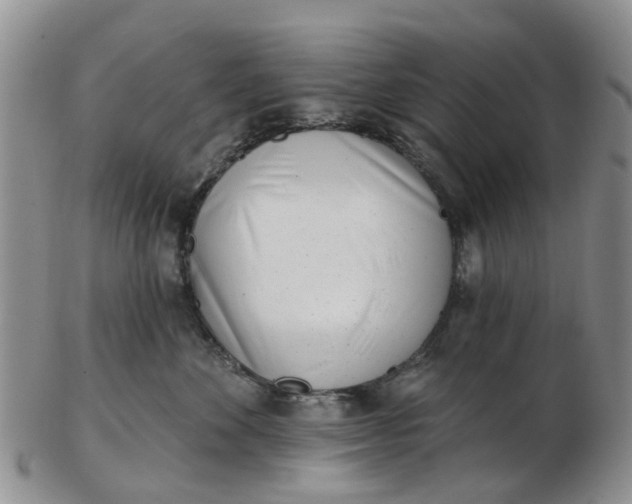 X0000103170524200809051724